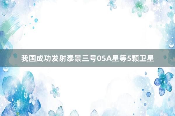 我国成功发射泰景三号05A星等5颗卫星