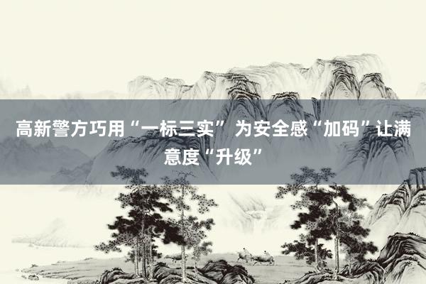 高新警方巧用“一标三实” 为安全感“加码”让满意度“升级”